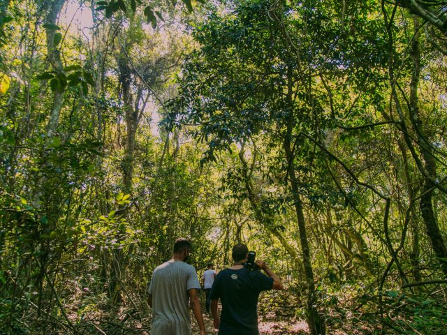 INAUGURAÇÃO_PARQUE_DO_MICO_LEÃO_DOURADO-61