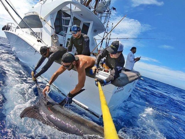 WhatsApp Image 2026-01-06 at 14.32.39 (1)